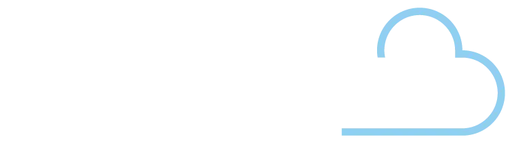 surveyor