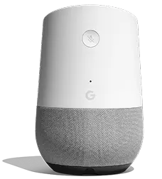 Google Home device